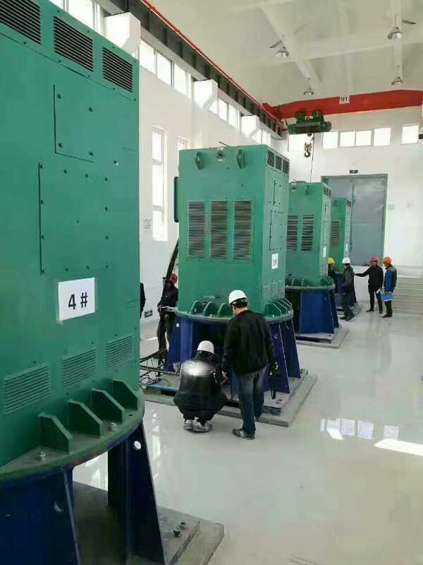 Y5003-2某污水处理厂使用我厂的立式高压电机安装现场