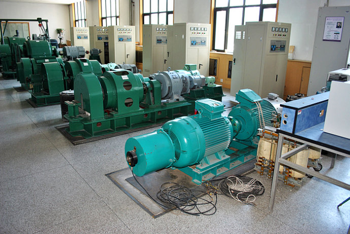 Y5003-2某热电厂使用我厂的YKK高压电机提供动力