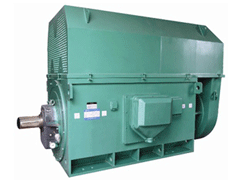 Y5003-2Y系列6KV高压电机