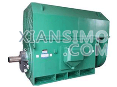 Y5003-2YXKK(2极)高效高压电机技术参数
