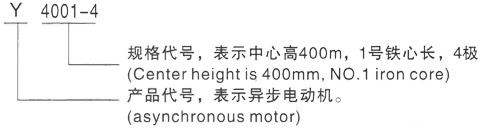 西安泰富西玛Y系列(H355-1000)高压Y5003-2三相异步电机型号说明