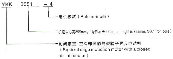 YKK系列(H355-1000)高压Y5003-2三相异步电机西安泰富西玛电机型号说明